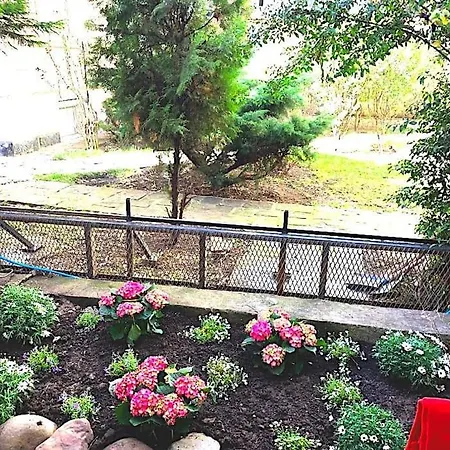 Apartment King Lux - Top Location - Massage - Garden! *